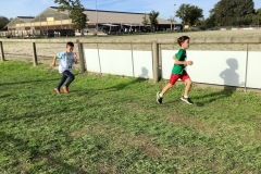 IMG_4188 IMG_4188