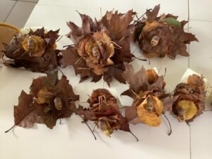 Classe dehors du vendredi 7 novembre 2025